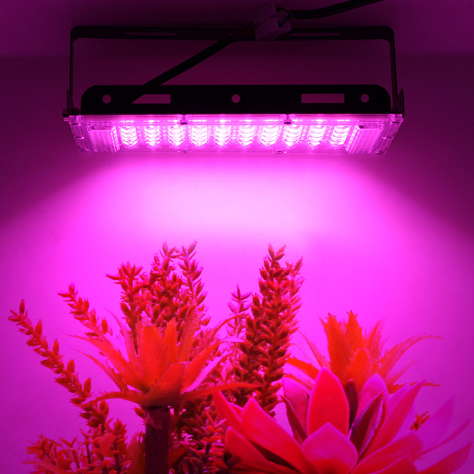 Full Spectrum Indoor Plants LED Grow Light 50W-500W Phyto Plant Lamp For Greenhouse Succulent Seedling Cultivation