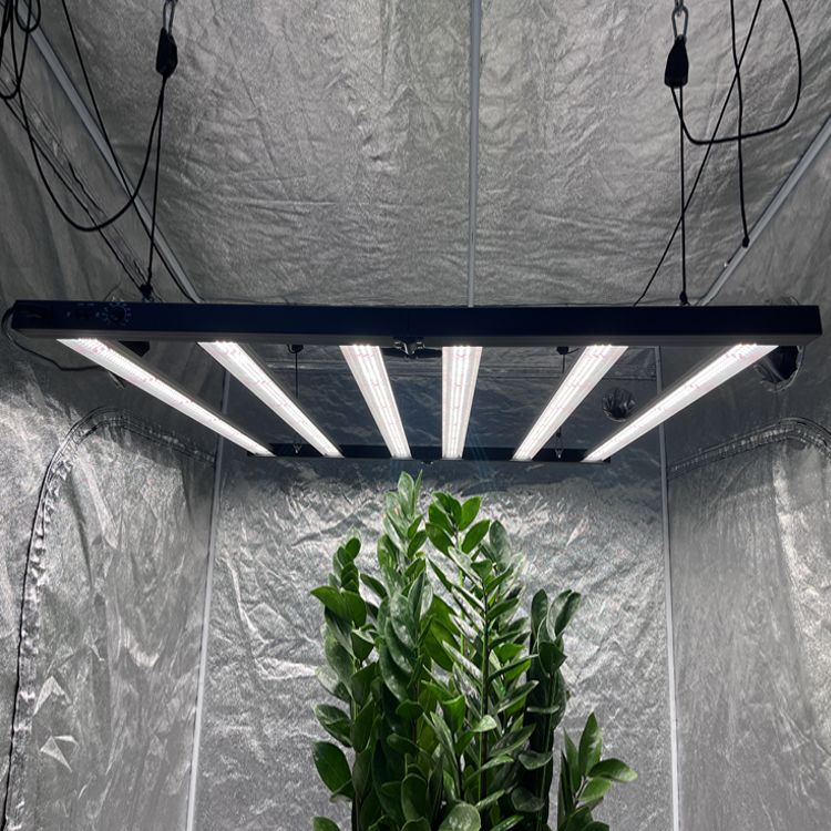 Grow Light