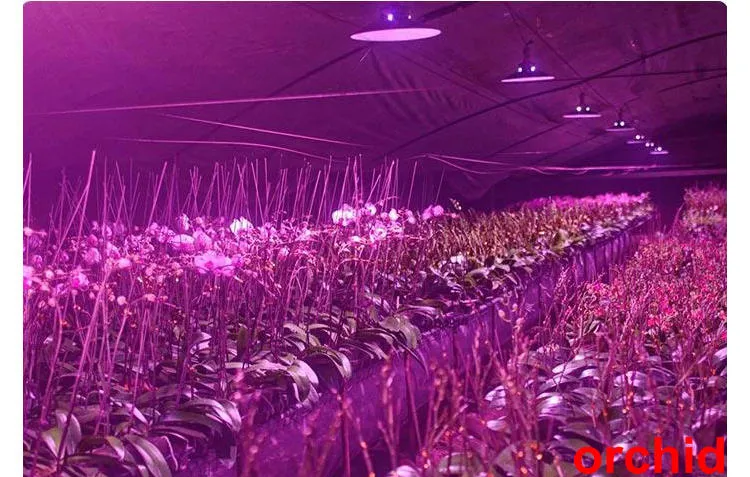 Greenhouse Application 1