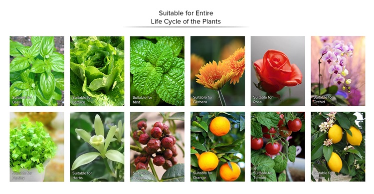 Product Description Image 1