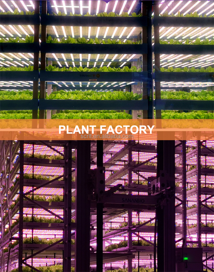 Grow Light 6