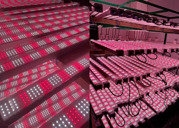 Under Canopy LED Grow Light Detail 3