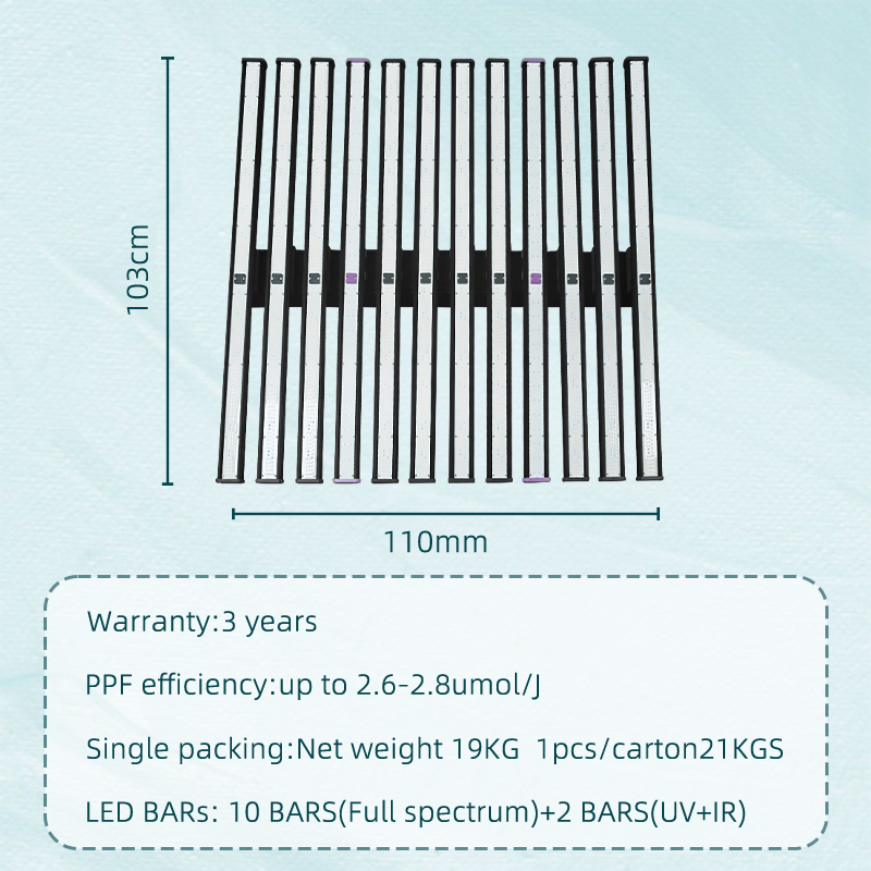 Product Detail 2