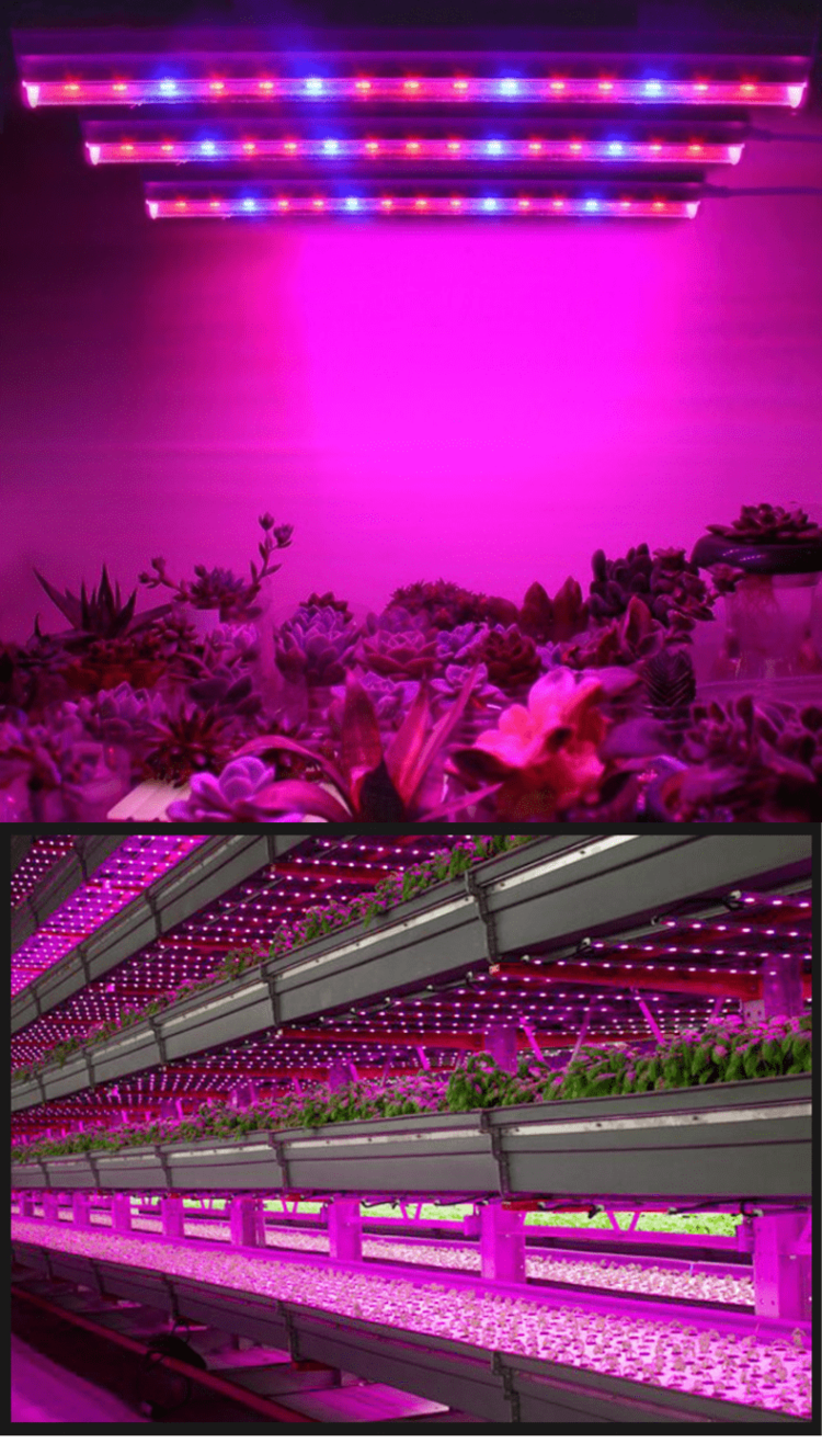 Full Spectrum Grow Light