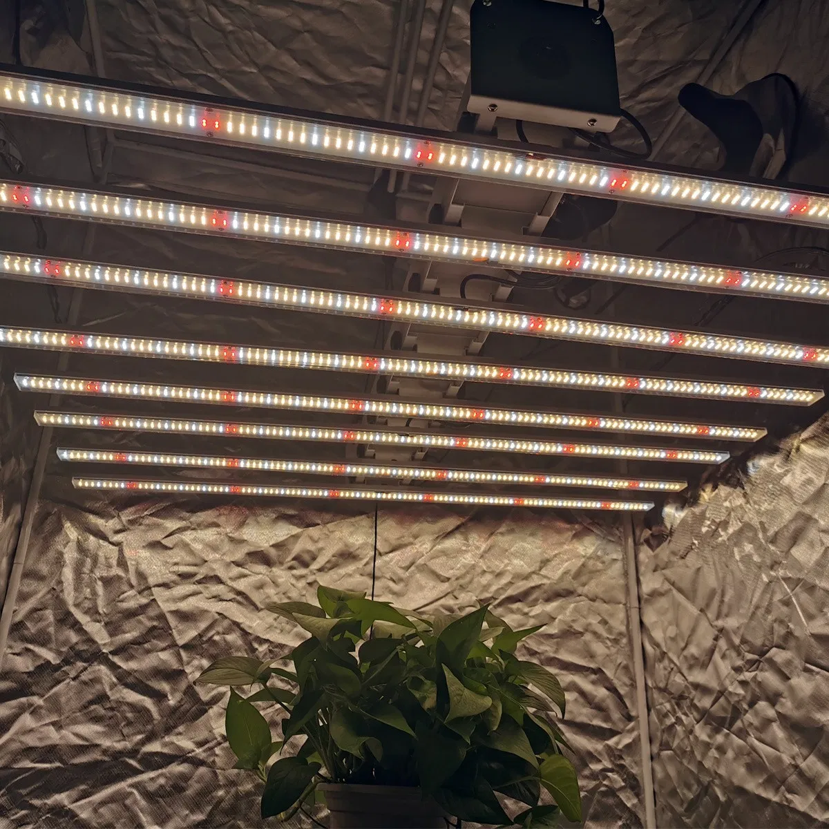 Toplighting Greenhouse Grow Lamp COB Horticulture Hydroponic Light for Indoor Plant Full Spectrum LED Grow Lights Ba