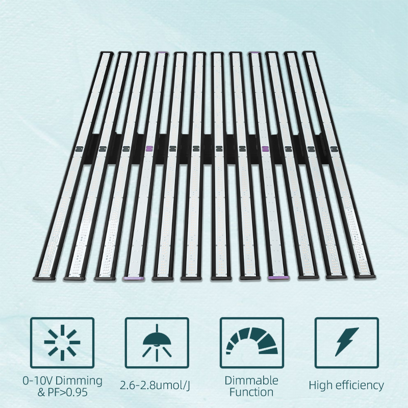 Lm301H EVO Led Grow Light 1100W 1000W Full Spectrum Vertical Indoor LED Grow Light For Indoor Plants