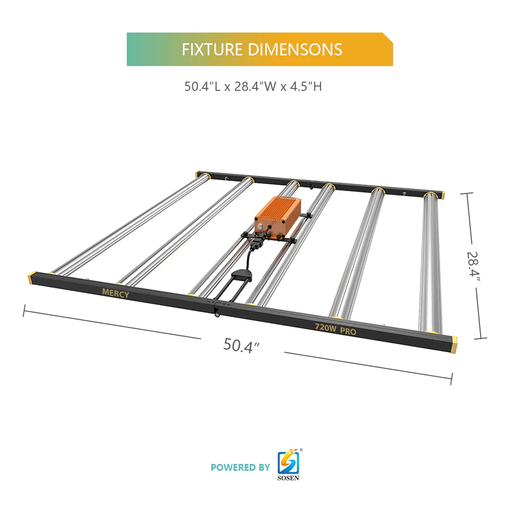 Hydroponic Lighting