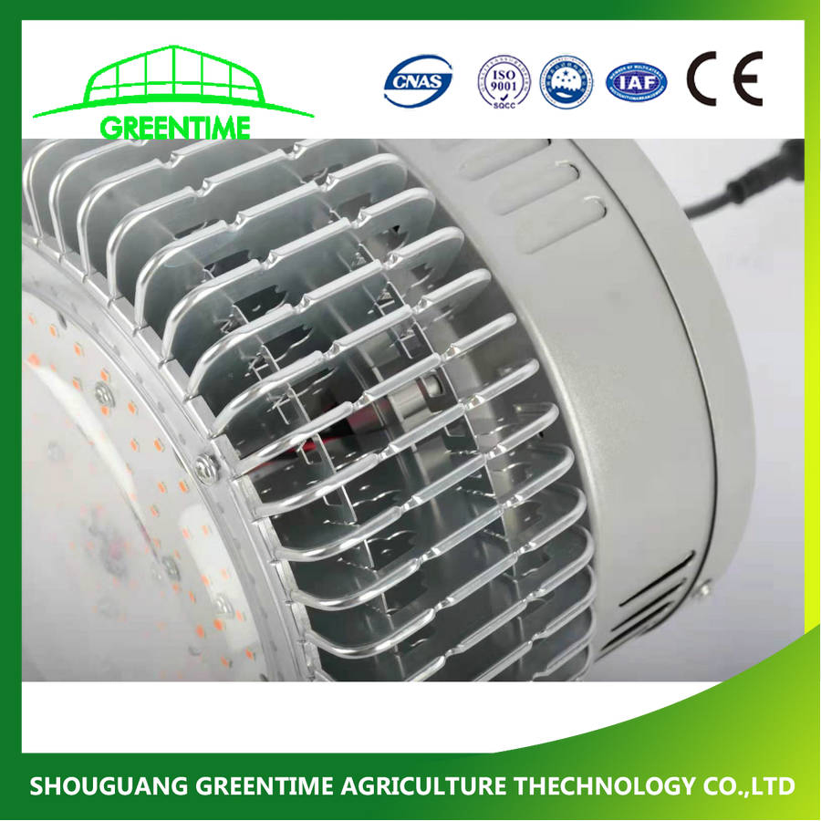 High Efficacy Manufacter Grow LED Light for Medical Plants in Blackout Greenhouse