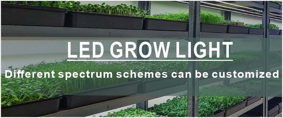 LED Grow Light Product Banner