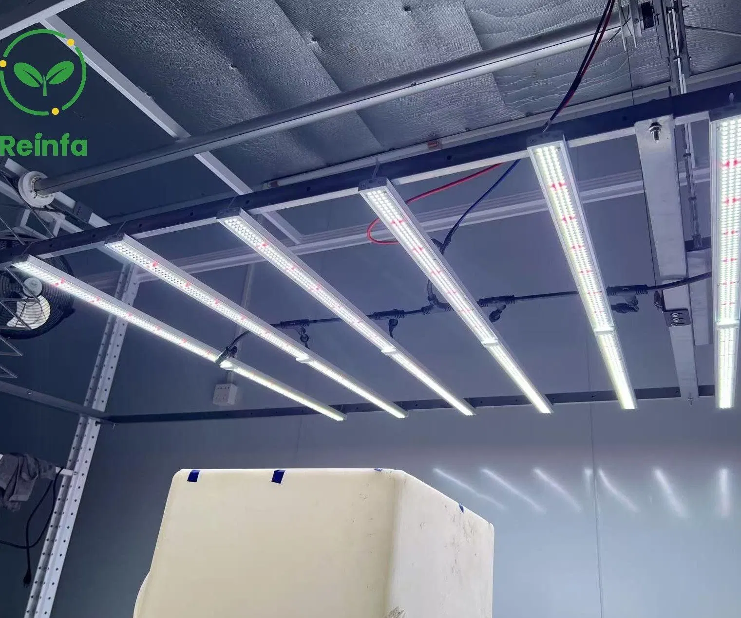 Full Spectrum 650W LED Grow Light for Vertical Farming &amp; Hydroponics