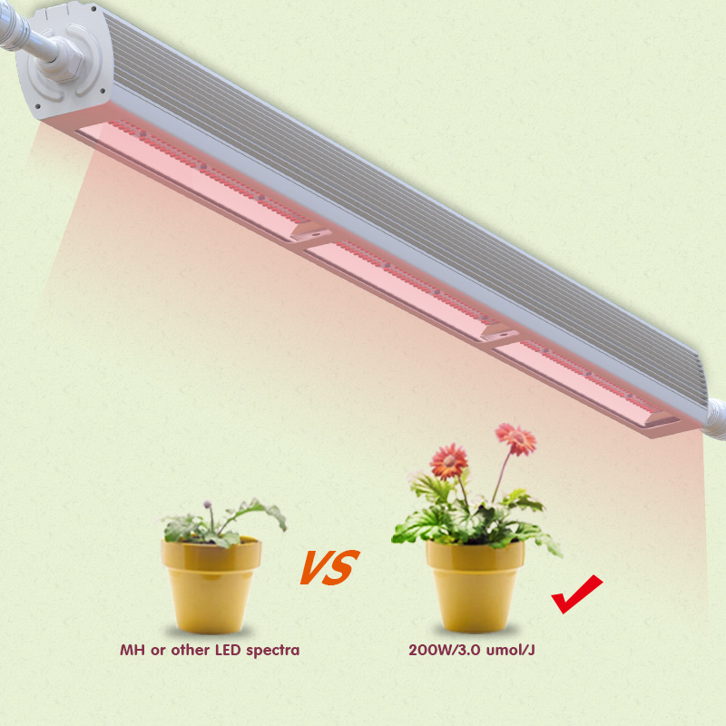 Longood 200W Veg LED Linear Plant Grow Light Hydroponic Efficient Indoor Garden Grow Lights