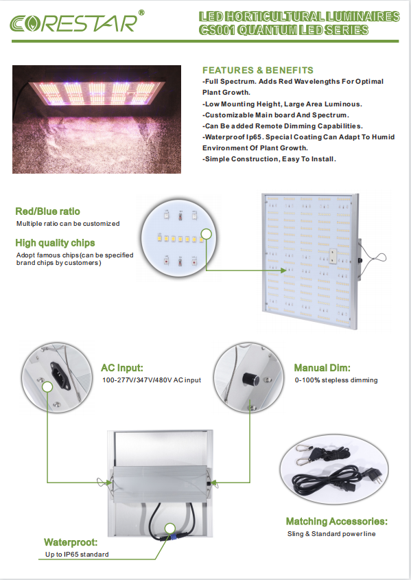 Grow Light Spectrum Diagram