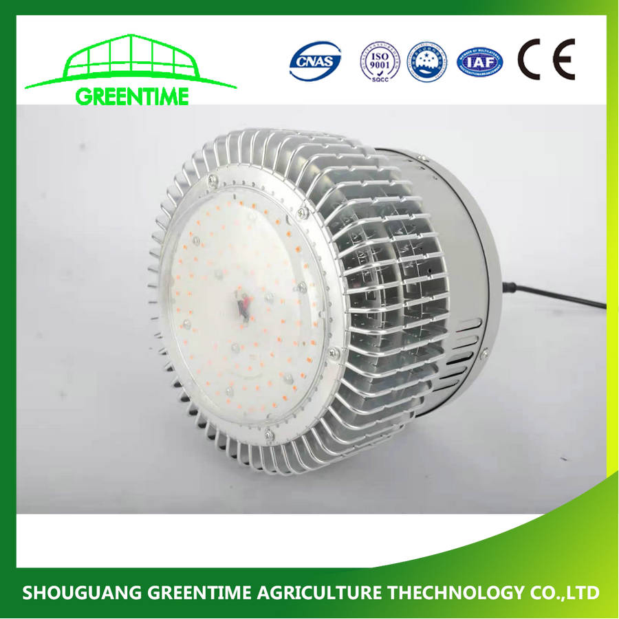 High Efficacy Manufacter Grow LED Light for Medical Plants in Blackout Greenhouse