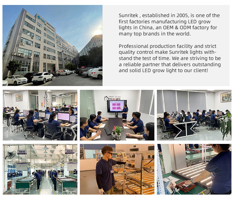 Company Excellence