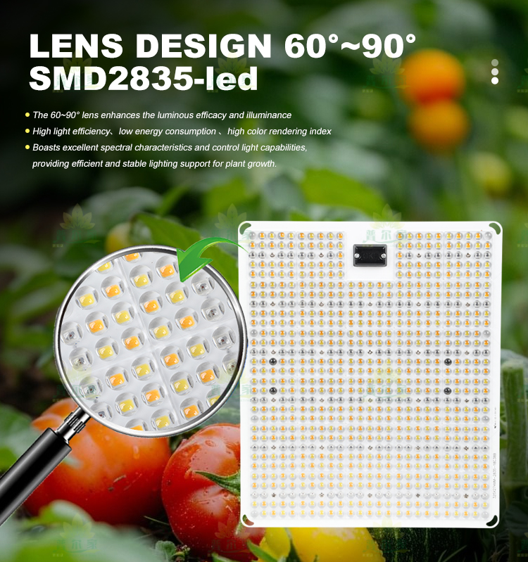Product Detail 7