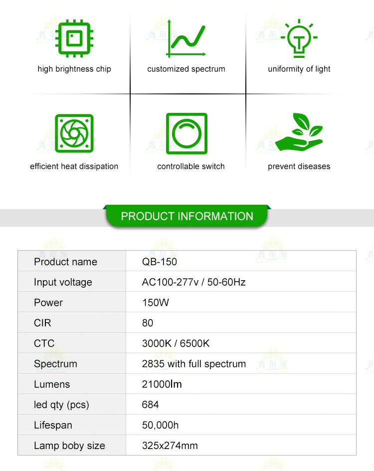 Product Detail 5