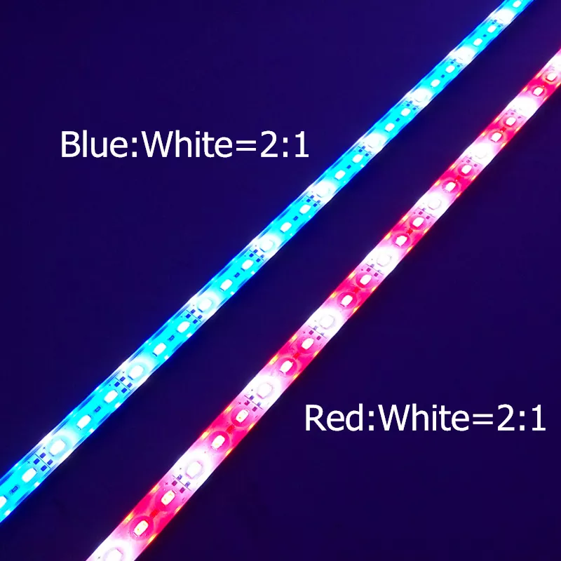 Full Spectrum IP65 Hydroponic Led Strip Grow Light with Red+Blue+White LEDs for Plant Growing & Bloom High CRI 90 10W