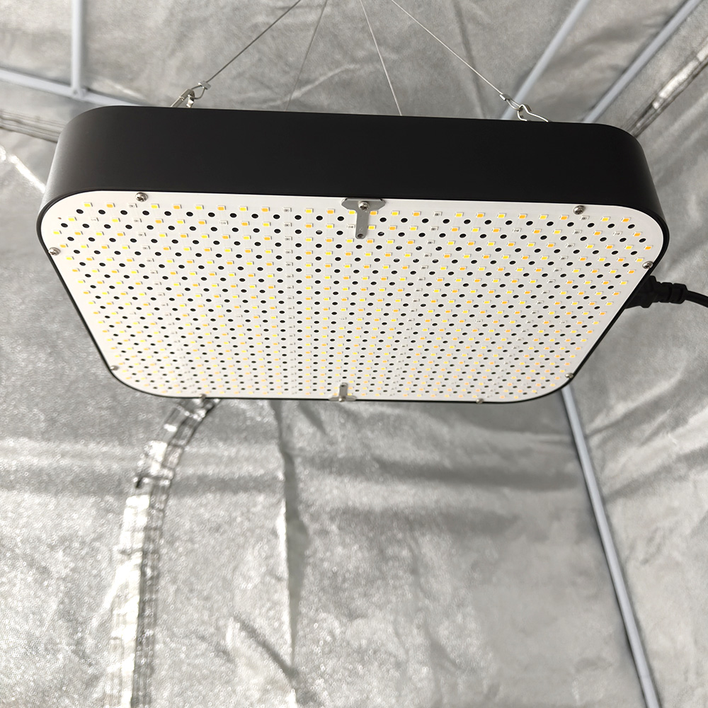 LED Grow Light View 1