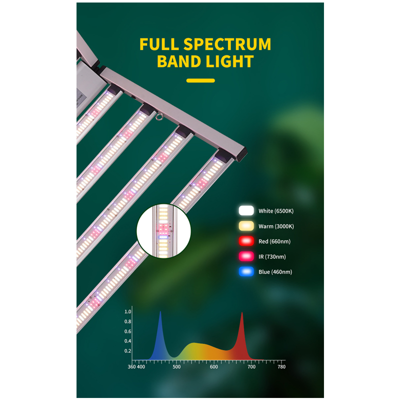 Agg 2025 New Sansung Lm301b Lm301h Evo Chips 800W 900W 1000W LED Grow Light Full Spectrum LED Grow Panel for Indoor Plant Vertical Farming Grow