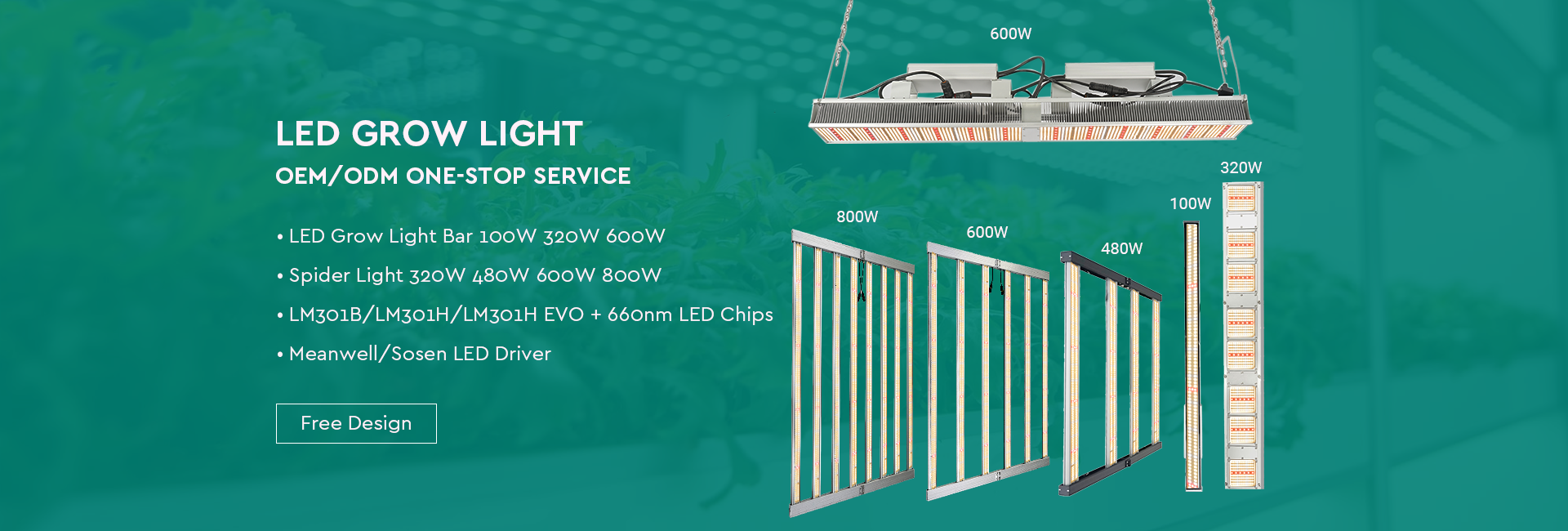 LED Grow Light Service