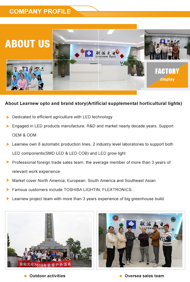 Company Overview