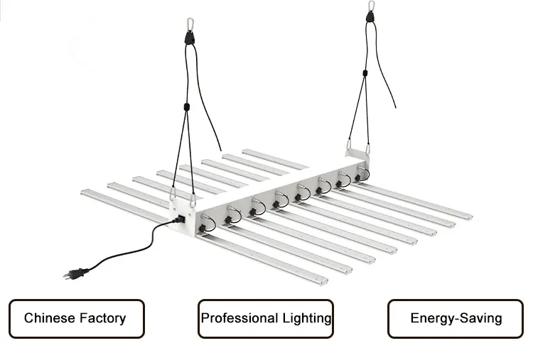 Full Spectrum LED Grow Lights