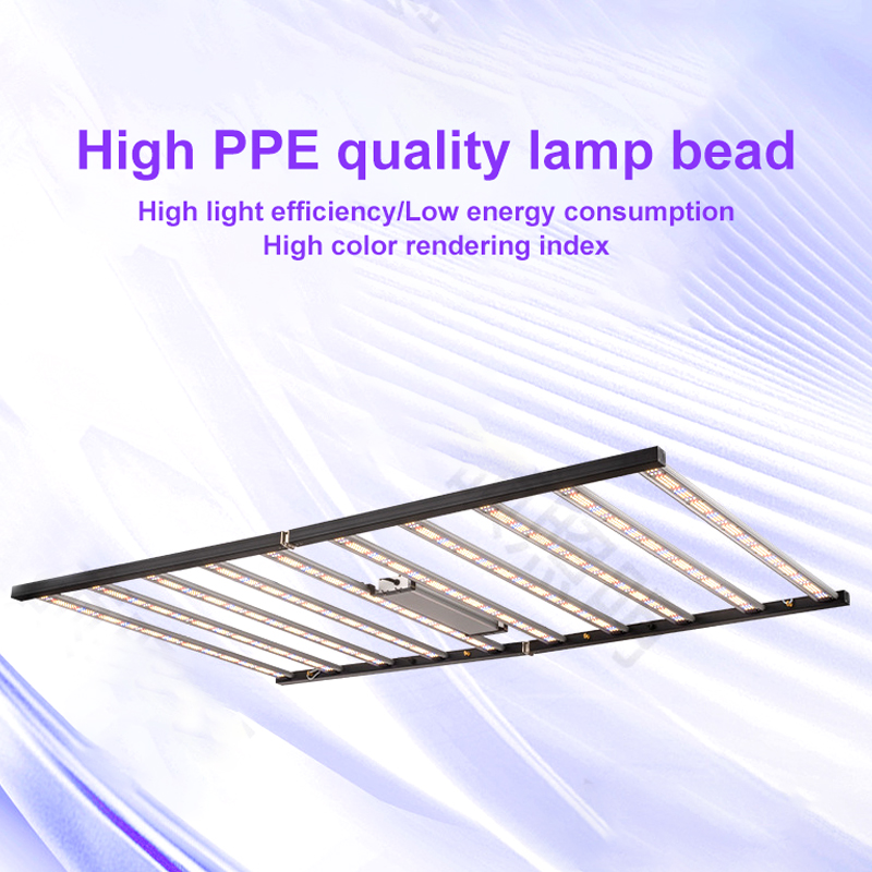 Product 4