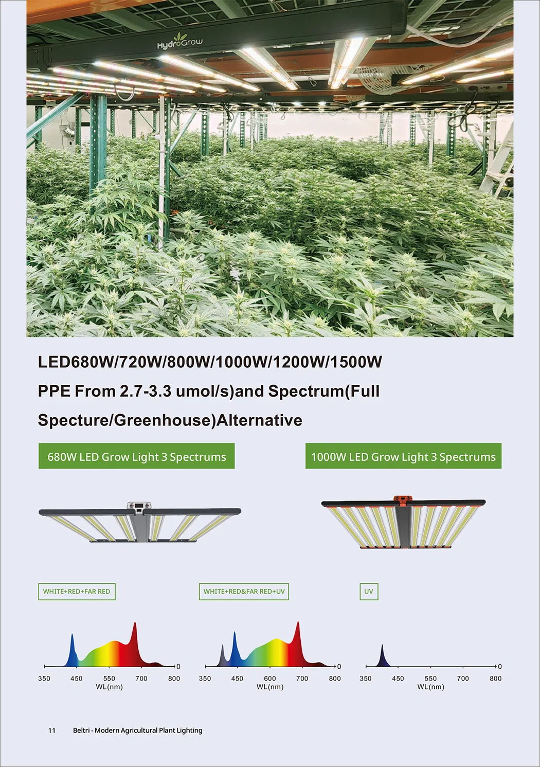 Grow Light Infographic 1