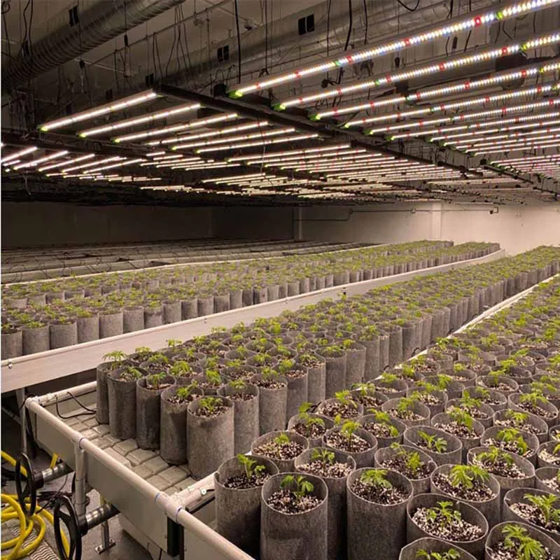 USA Warehouse LED Spider Grow Light for 5 Years Warranty