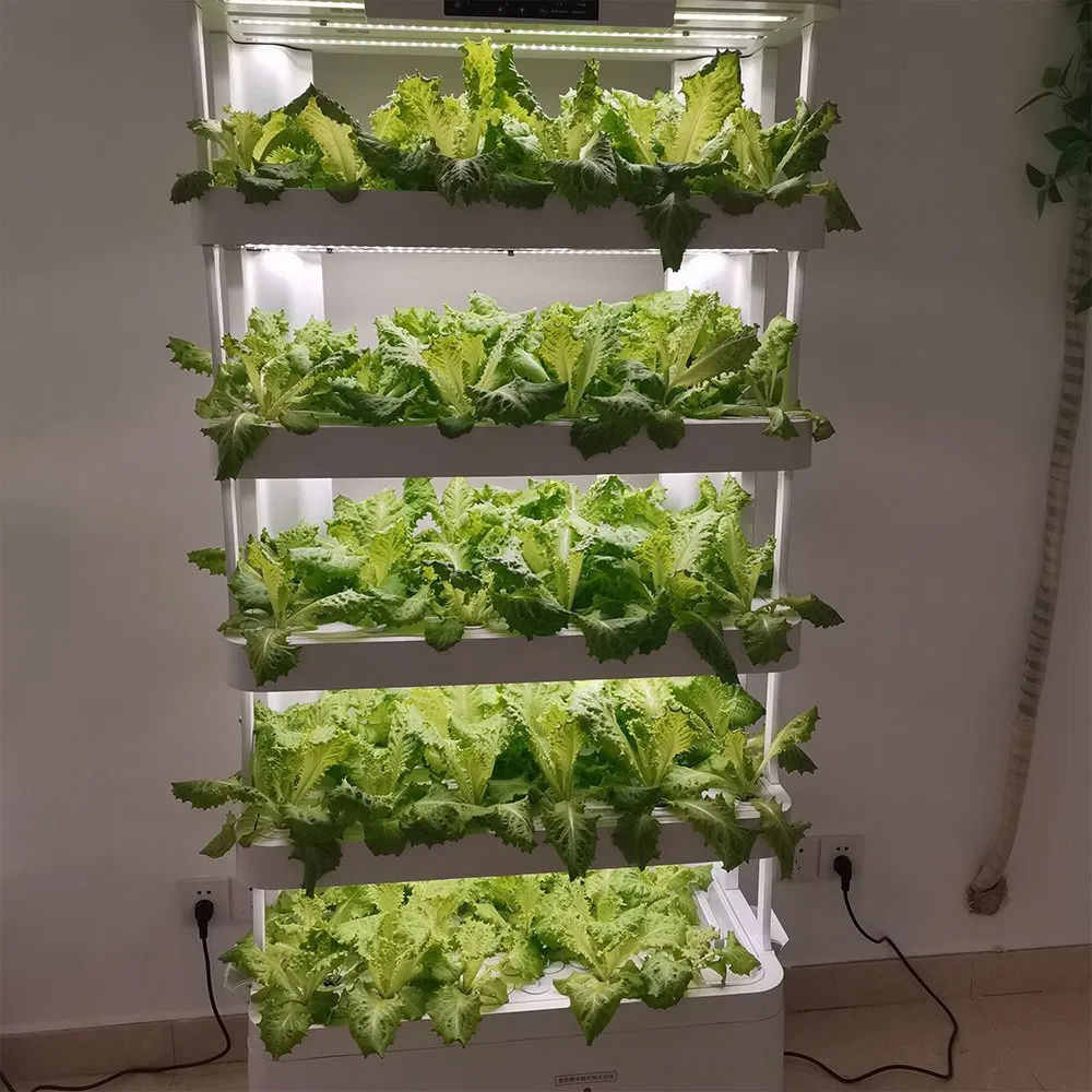 Large Hydroponics Growing System Kit, 5-Tier Indoor Herb Garden with Smart Climate Control, Auto Misting, Full Spectrum Grow Light, Vertical Hydroponic System F