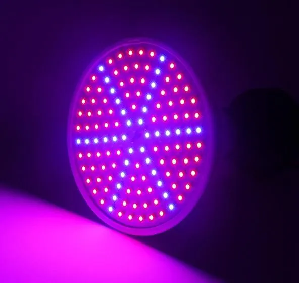 LED Grow Light 3
