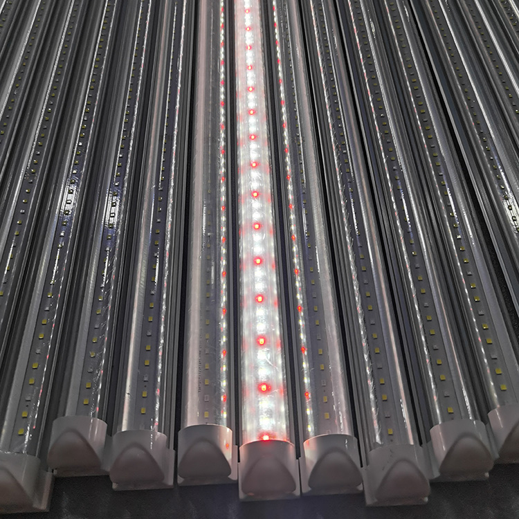 Related fixture model D