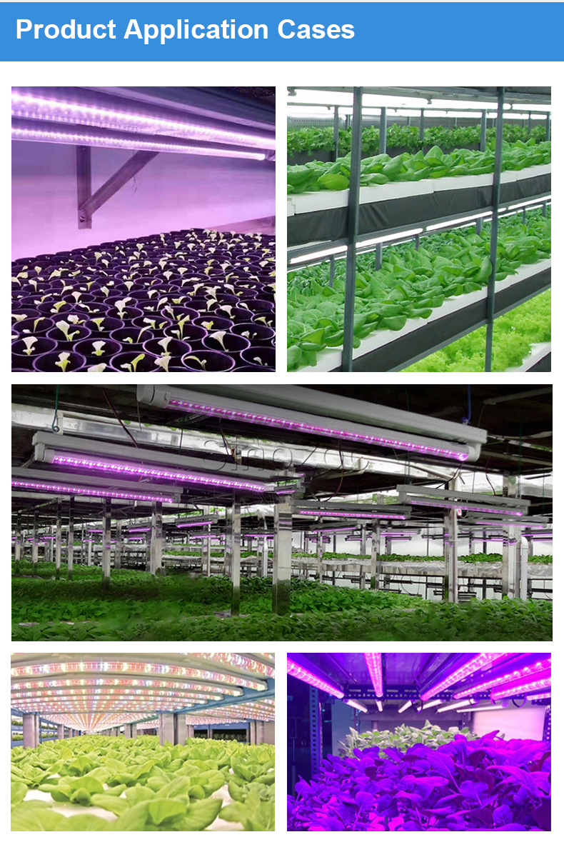 T8 grow light detail 10