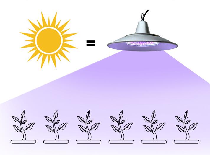 Orchid Promote Flowering Special Supplemental Light Greenhouse Balcony LED Blue Purple Light Waterproof Plant Growth Lights