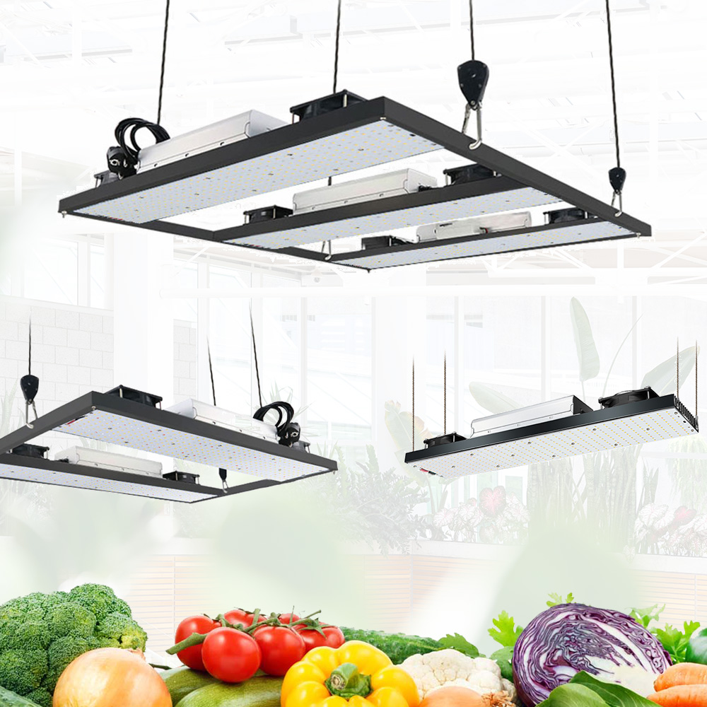 Dimmable Greenhouse LM301H 240 Watt LED Grow Light Full Spectrum 3500K UV IR Red LED Grow Light Board