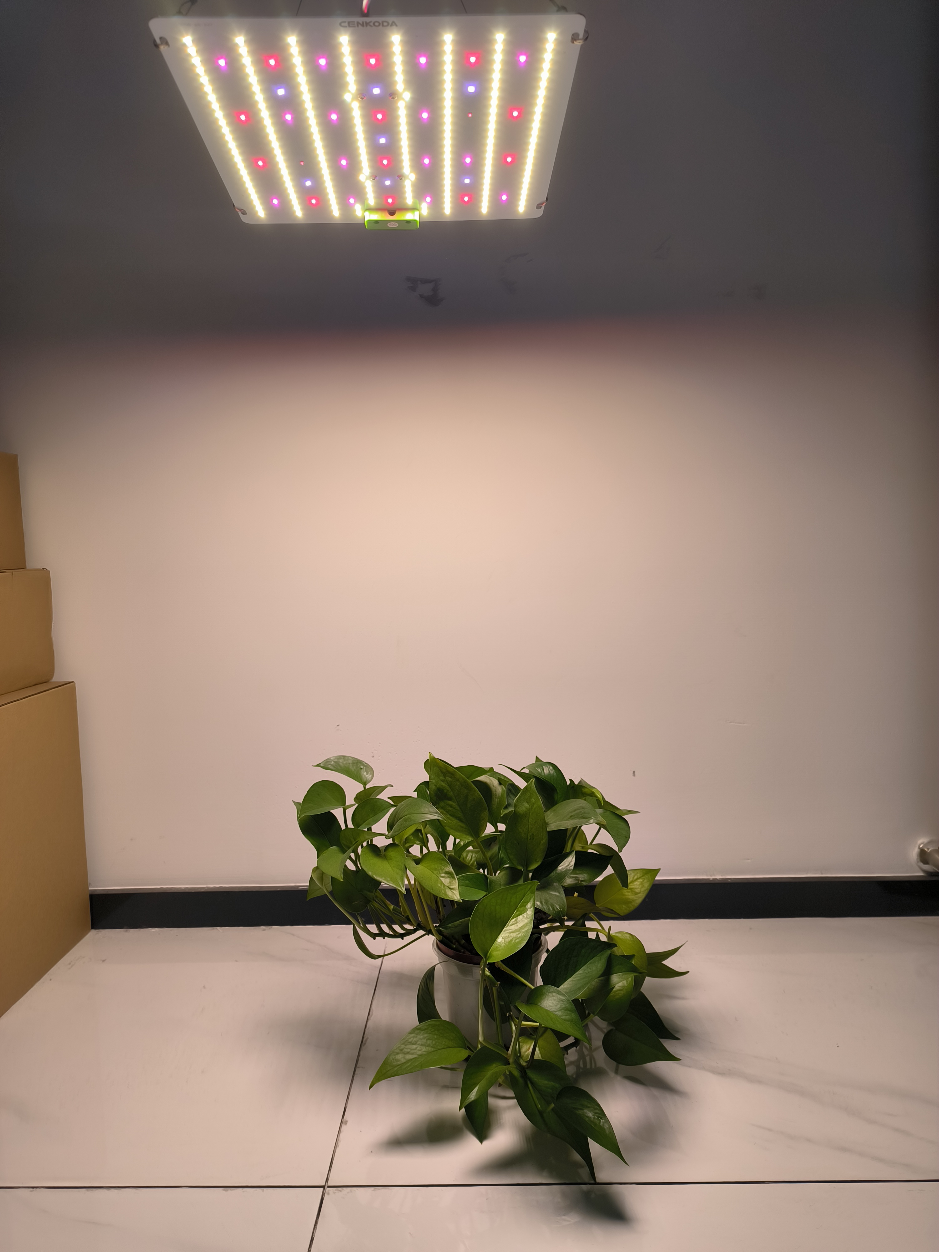 Led Grow Lights High Power Full Spectrum Quantumn Board Independent Control LM281B Grow Light 100W 200W