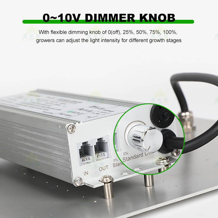 Product Detail 10