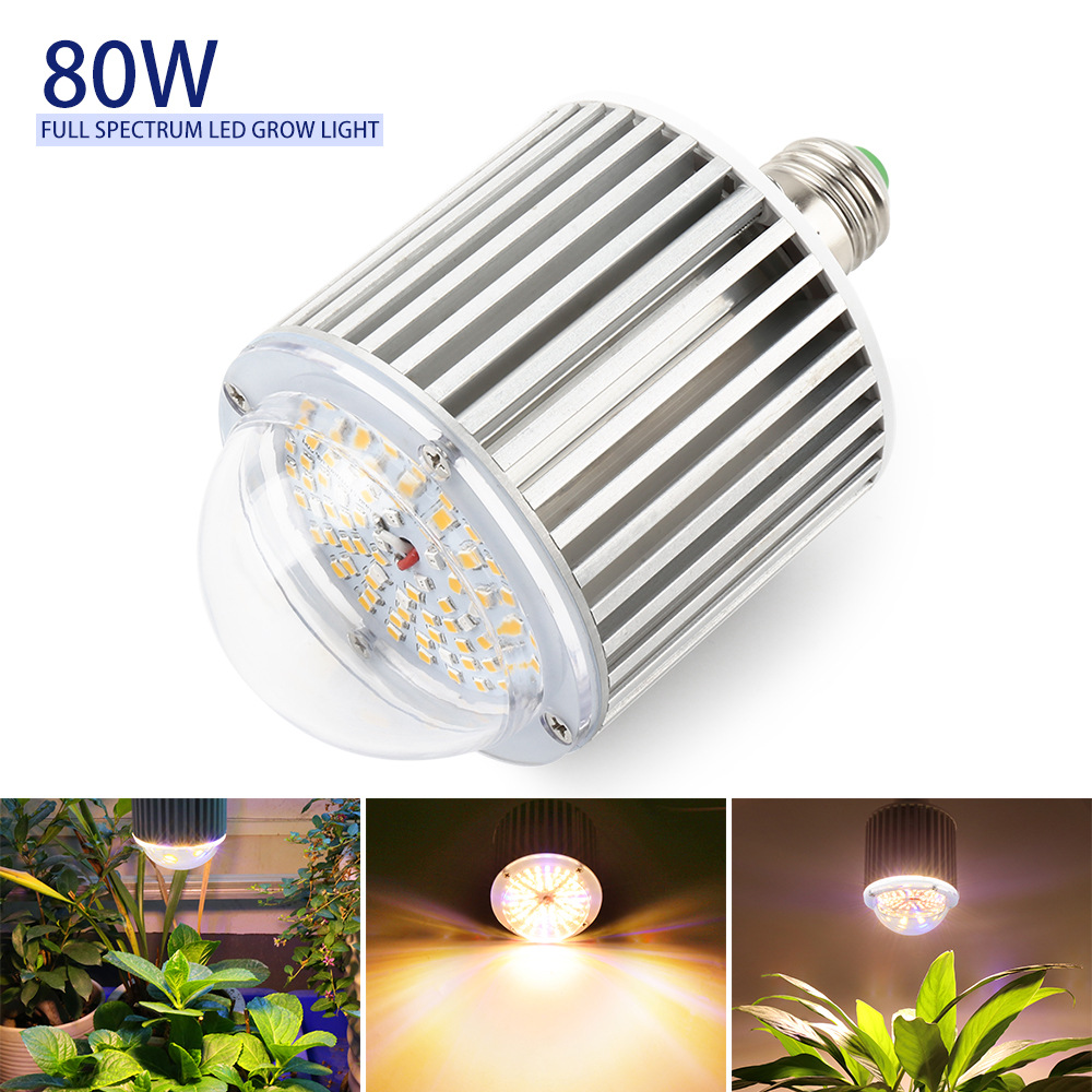 Grow Light Presentation 2