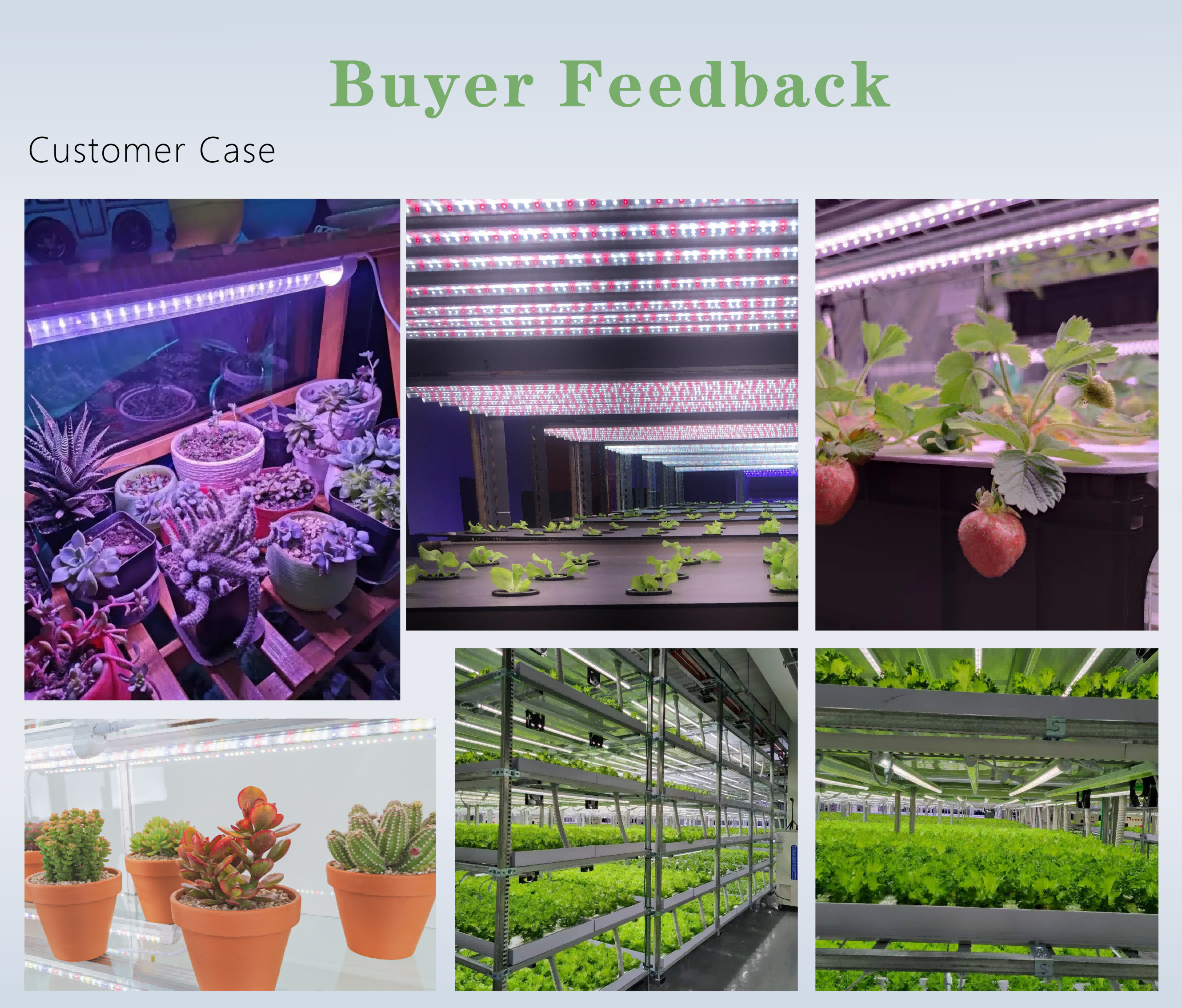 LED Grow Light Light Board