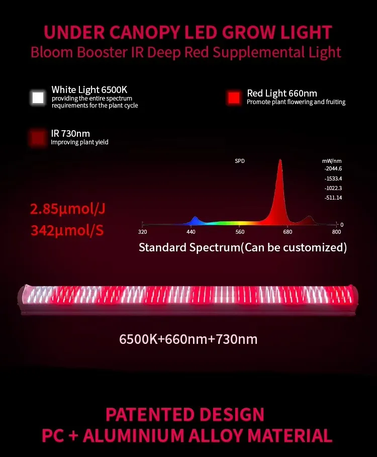 Grow Light Display 1