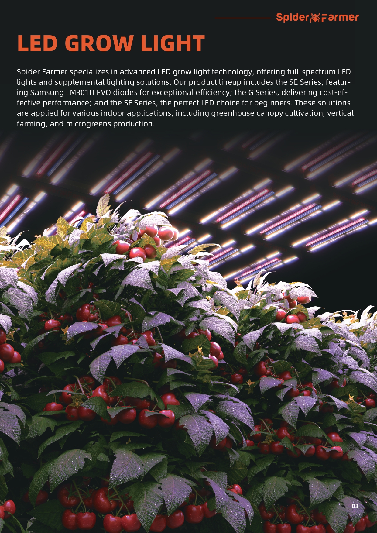 GlowR40 Light Features Detail