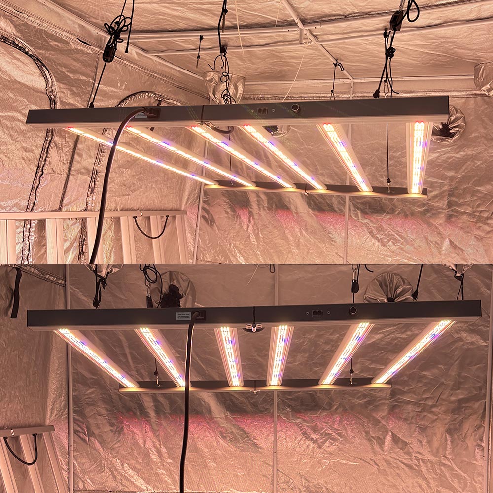 DEAL Full Spectrum Led Grow Light 320W 480W 720W 1000W Samsung Led Horticulture Plant Grow Light for 4x4 Tent Veg Flower Farming