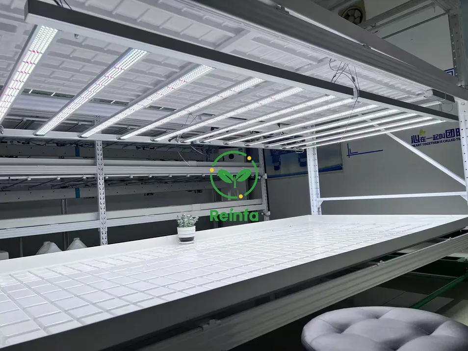Full Spectrum 650W LED Grow Light for Vertical Farming & Hydroponics