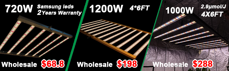 Grow Light System