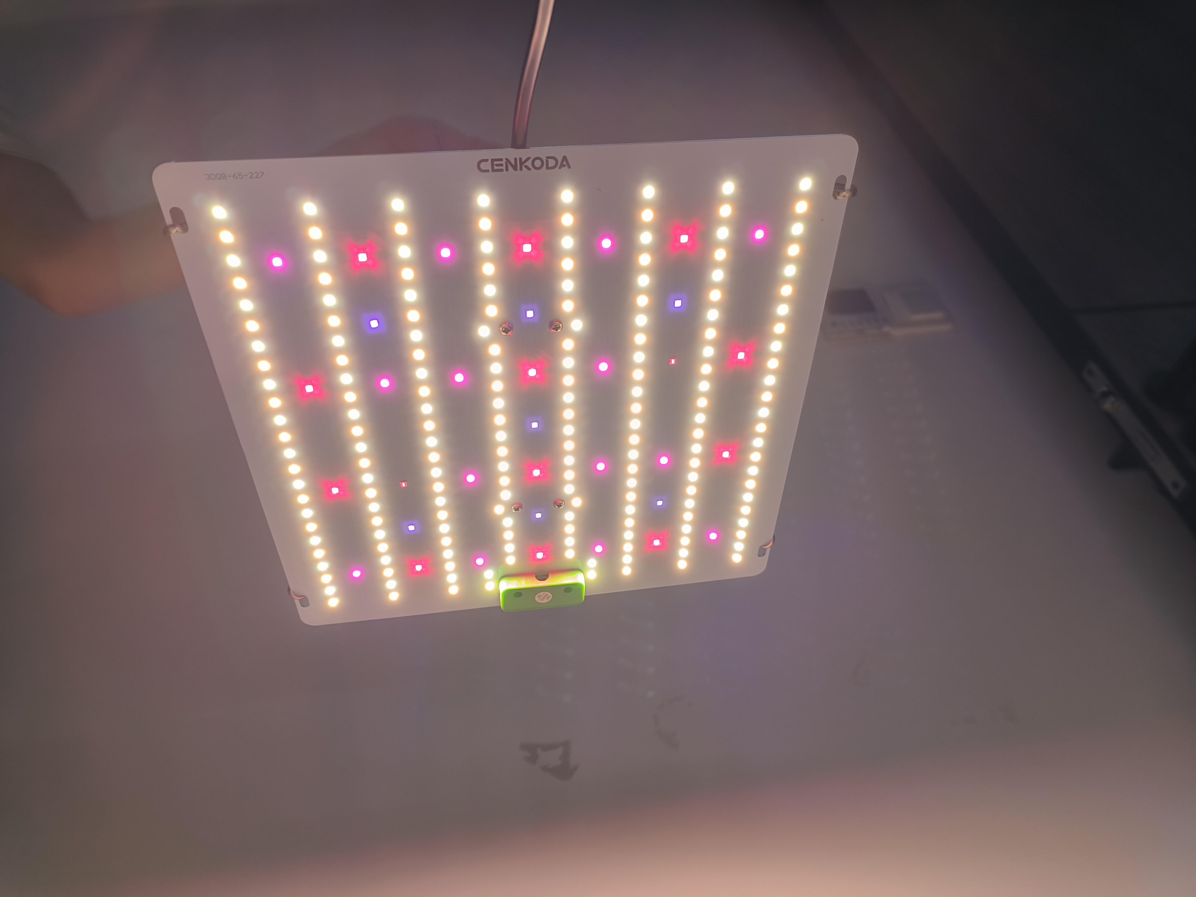 Led Grow Lights High Power Full Spectrum Quantumn Board Independent Control LM281B Grow Light 100W 200W