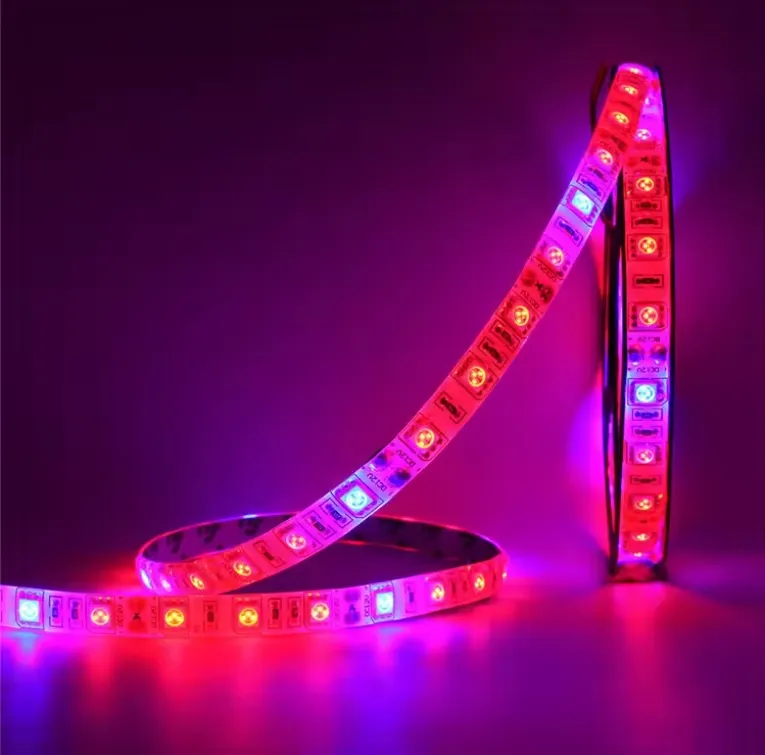 Grow Light Full Spectrum LED 5