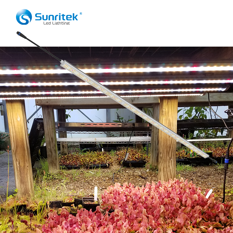 Factory Aluminum 40w 80w 120w Waterproof Full Spectrum Hydroponic Plant Dimmable Bar Style Led Grow Light