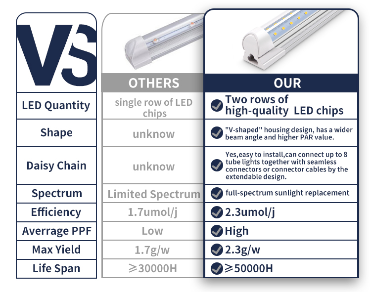 Why Choose Us