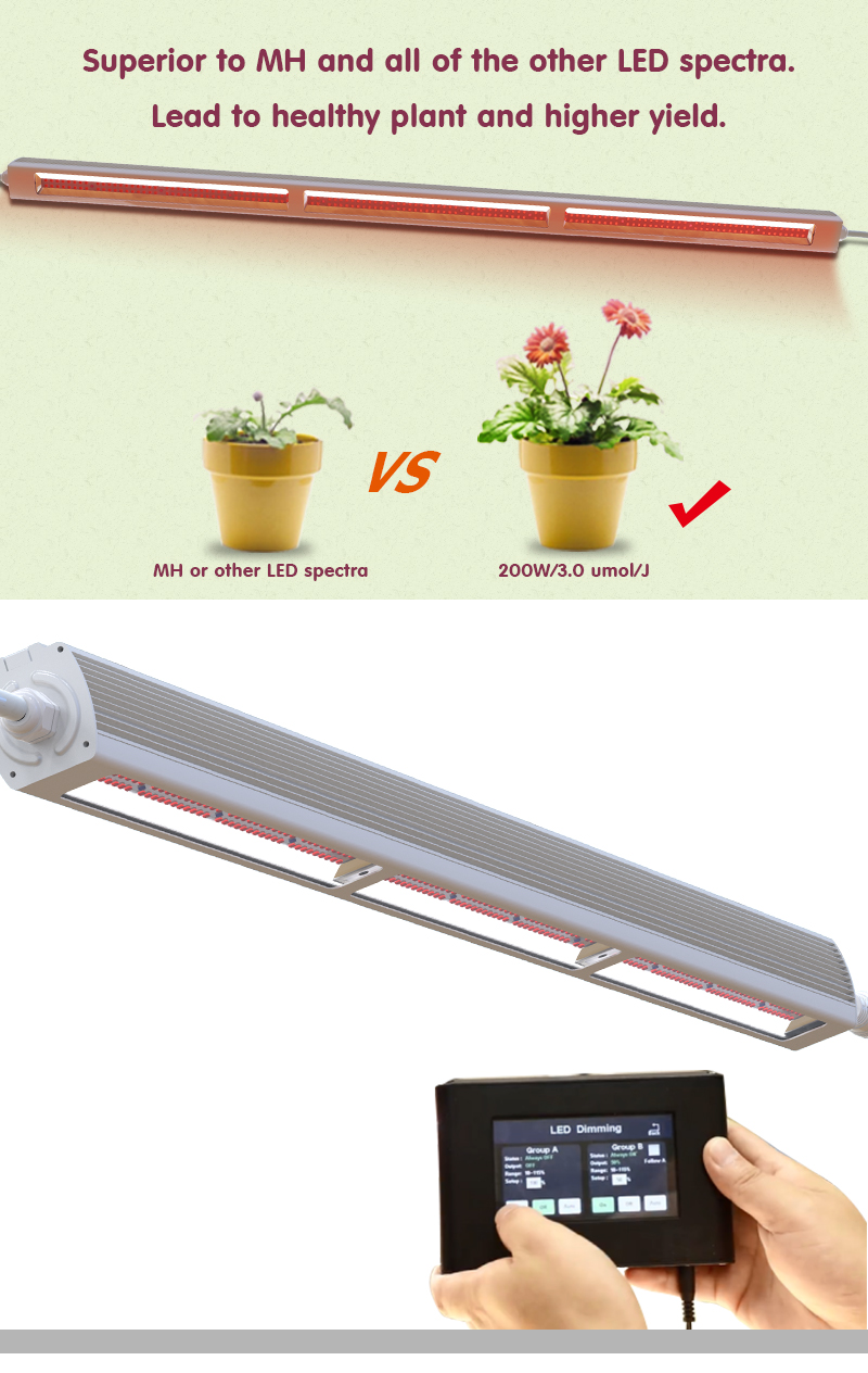 Longood 200W Veg LED Linear Plant Grow Light Hydroponic Efficient Indoor Garden Grow Lights
