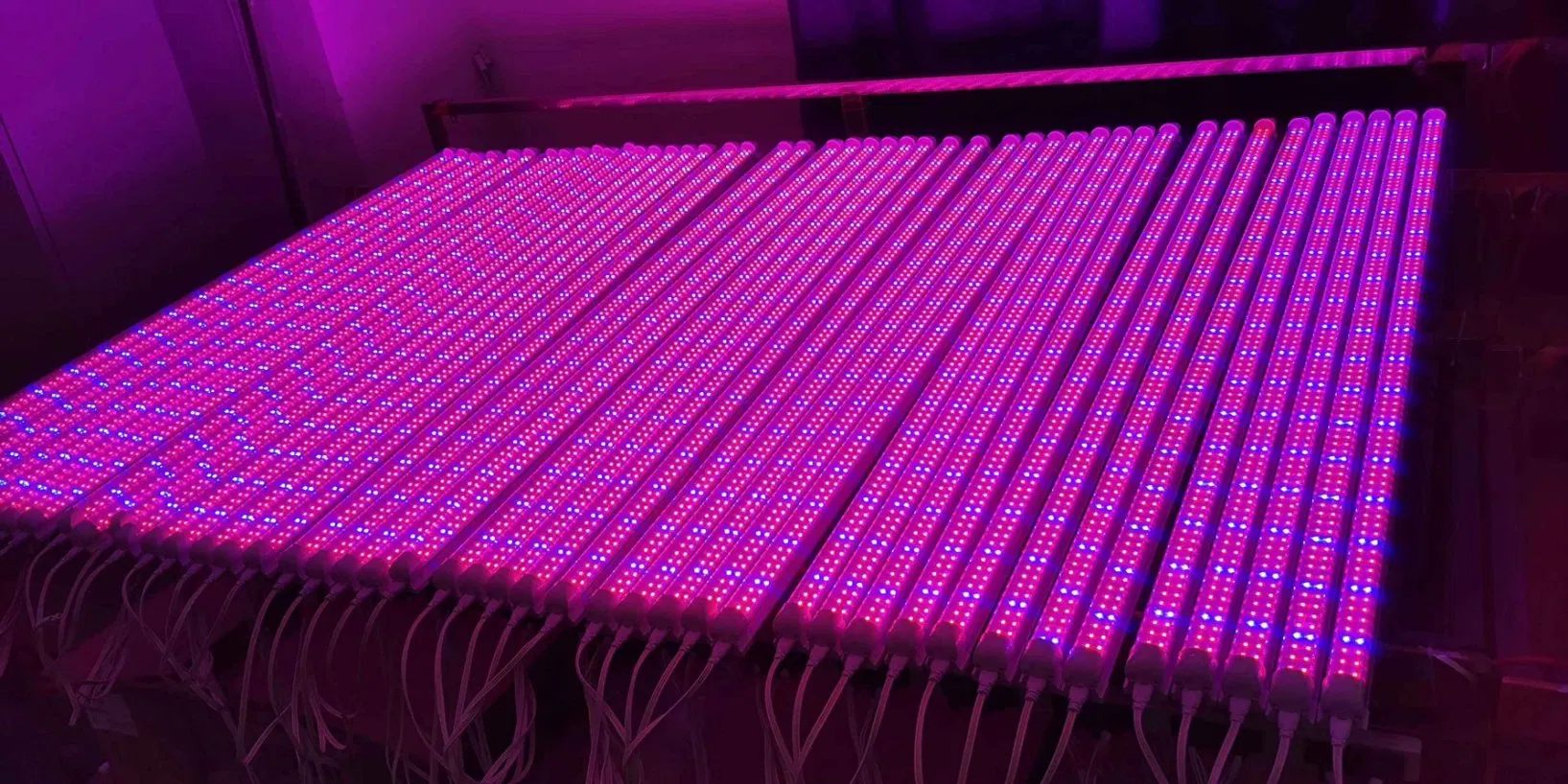 G&N Hydroponic System Growing LED Light Lm301h/301b 600W 800W Spider Bar Full Spectrum 660nm Indoor Plant LED Grow Light